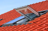 Coity roof window